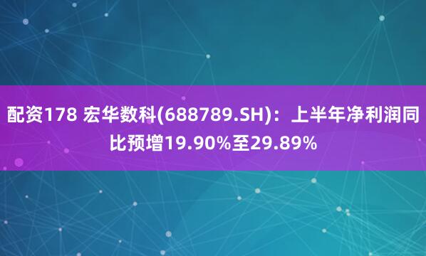 配资178 宏华数科(688789.SH)：上半年净利润同比预增19.90%至29.89%
